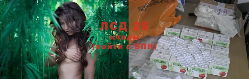 LSD-25 экстази кислота  где купить наркотик  Бакал 